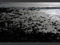 A raw view 04